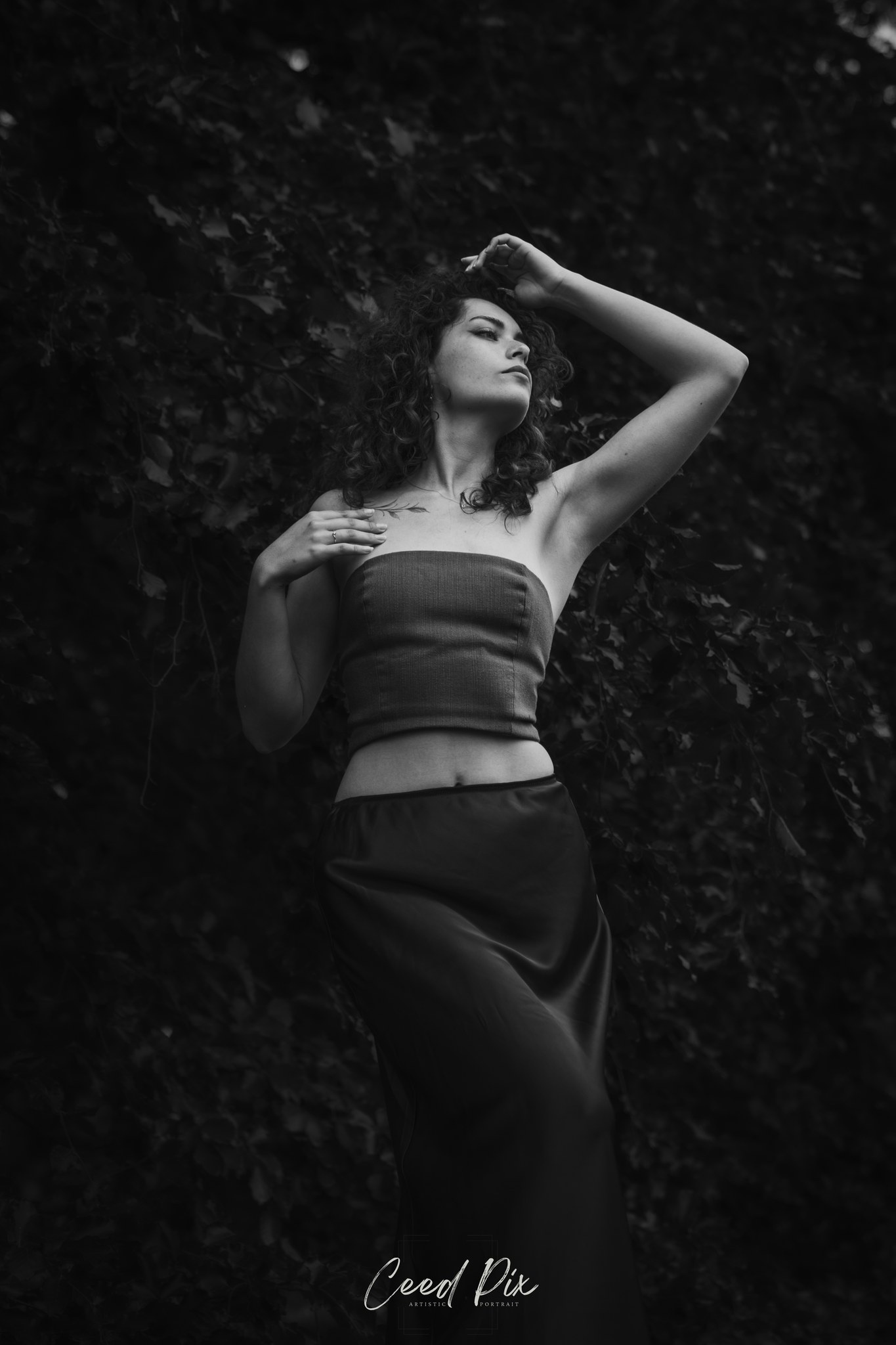 Portrait — CeedPix